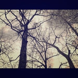 Meet your Posher, Lourdes